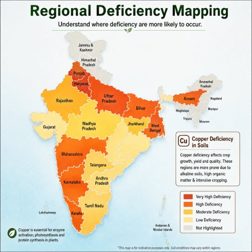 Regional Deficiency Map