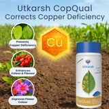 Copper - 12% EDTA Chelated Micronutrient, 100% Water Soluble Fertilizers for Plants Corrects & Prevents Copper Deficiency in Plants & Home Garden | CopQual - Utkarsh Agrochem Pvt ltd. 