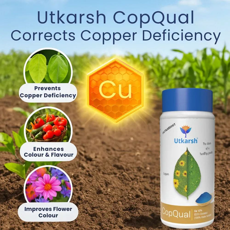 Copper - 12% EDTA Chelated Micronutrient, 100% Water Soluble Fertilizers for Plants Corrects & Prevents Copper Deficiency in Plants & Home Garden | CopQual - Utkarsh Agrochem Pvt ltd. 