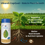 Copper - 12% EDTA Chelated Micronutrient, 100% Water Soluble Fertilizers for Plants Corrects & Prevents Copper Deficiency in Plants & Home Garden | CopQual - Utkarsh Agrochem Pvt ltd. 