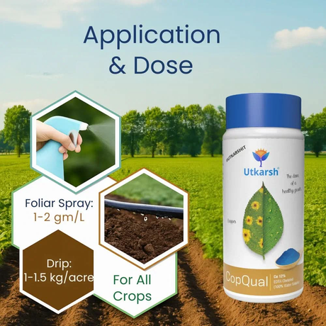 Copper - 12% EDTA Chelated Micronutrient, 100% Water Soluble Fertilizers for Plants Corrects & Prevents Copper Deficiency in Plants & Home Garden | CopQual - Utkarsh Agrochem Pvt ltd. 