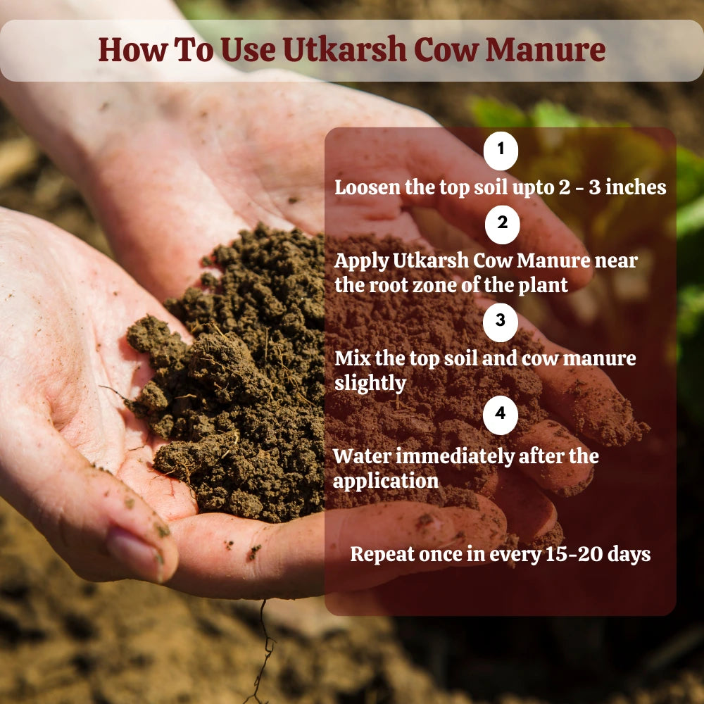 Cow Dung Manure, 100% Natural Organic Fertilizer for Plants, Nutrient-Rich Microbial Compost, Improves Plant Health, Water Retention & Soil Fertility, Sourced from Desi Gaushalas