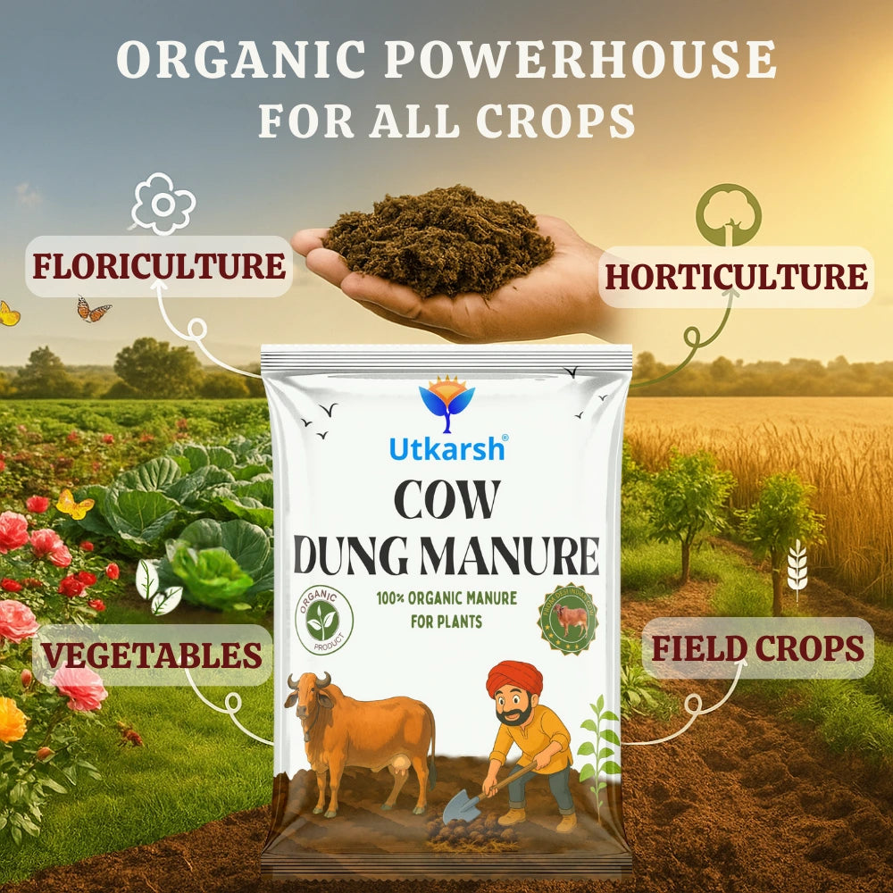 Cow Dung Manure, 100% Natural Organic Fertilizer for Plants, Nutrient-Rich Microbial Compost, Improves Plant Health, Water Retention & Soil Fertility, Sourced from Desi Gaushalas
