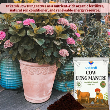 Cow Dung Manure for Plants, Nursery and Home Garden, Organic Fertilizer, Sourced directly from Desi Gaushalas
