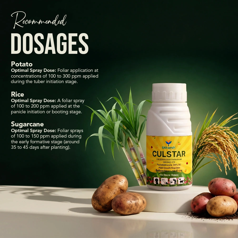 CulStar - Paclobutrazol 23% SC Plant Growth Regulator | Controls Tree Vigor & Enhances Flowering | Improves Yield & Fruit Quality