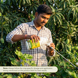 CulStar - Paclobutrazol 23% SC Plant Growth Regulator | Controls Tree Vigor & Enhances Flowering | Improves Yield & Fruit Quality