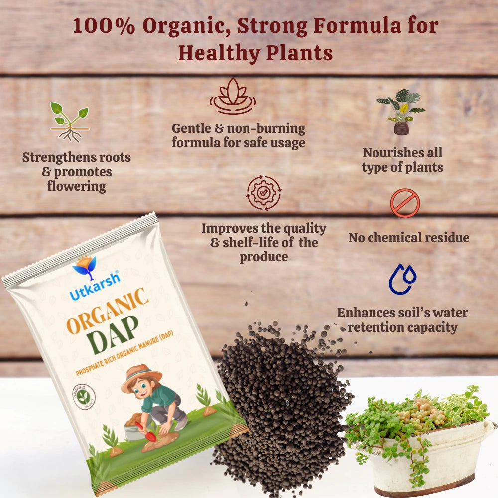 Organic DAP Fertilizer for Plants, Home & Garden - 100% Water Soluble Granules, Bio DAP Fertilizers & Manure for Plants Growth | Improves Flowering, Fruiting & Vegetables