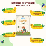 Organic DAP Fertilizer for Plants, Home & Garden - 100% Water Soluble Granules, Bio DAP Fertilizers & Manure for Plants Growth | Improves Flowering, Fruiting & Vegetables