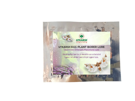 Egg Plant Borer Lure - Utkarsh Agrochem Pvt ltd. 