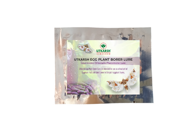 Utkarsh Egg Plant Borer Lure Leucinodes Orbonalis Pheromone Lure for Catching Insects/Moth of Brinjal Fruit and Shoot Borer in Brinjal Plant with Funnel Trap