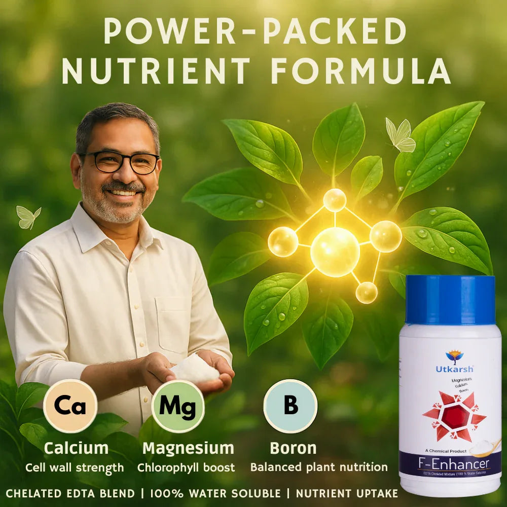 F-Enhancer - EDTA Chelated Mix - Calcium, Magnesium, Boron (100 % Water Soluble Chemical for Foliar Spray) - Utkarsh Agrochem Pvt ltd. 