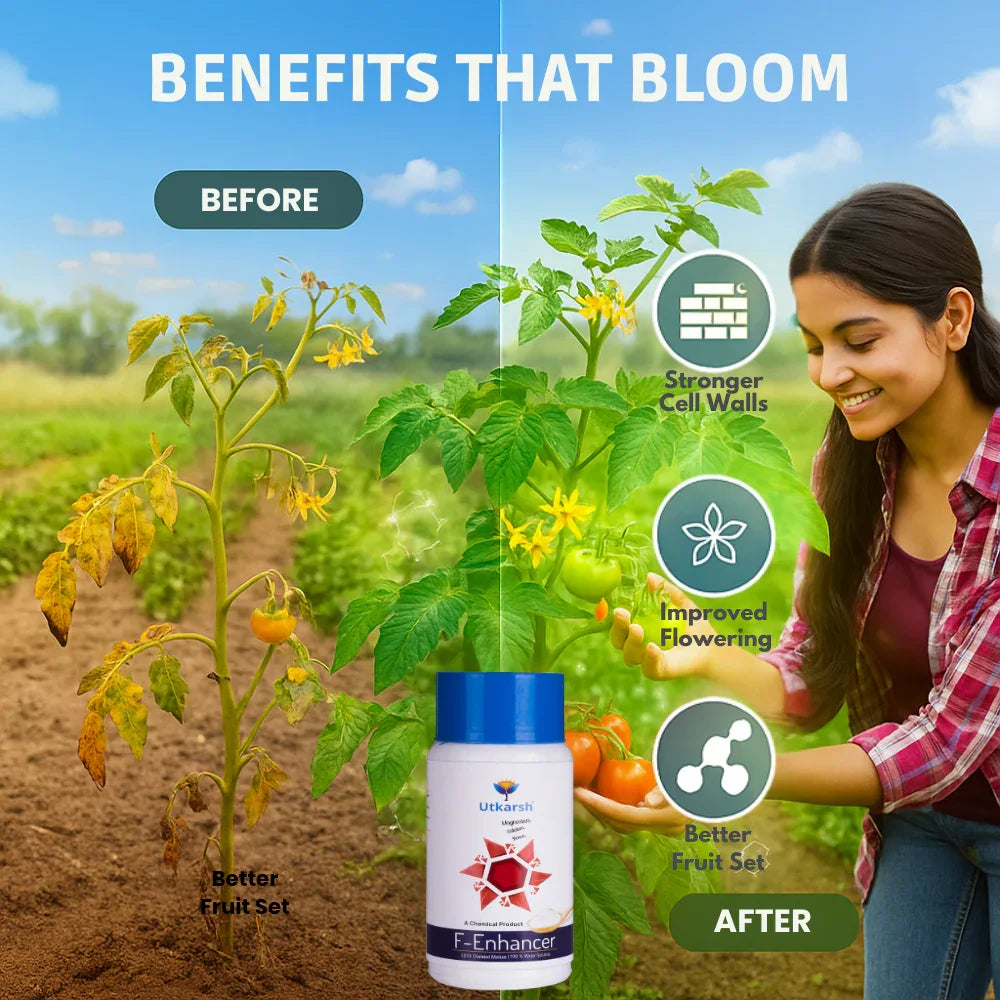 F-Enhancer - EDTA Chelated Mix - Calcium, Magnesium, Boron (100 % Water Soluble Chemical for Foliar Spray) - Utkarsh Agrochem Pvt ltd. 