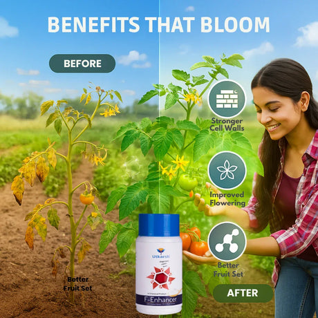 F-Enhancer - EDTA Chelated Mix - Calcium, Magnesium, Boron (100 % Water Soluble Chemical for Foliar Spray) - Utkarsh Agrochem Pvt ltd. 