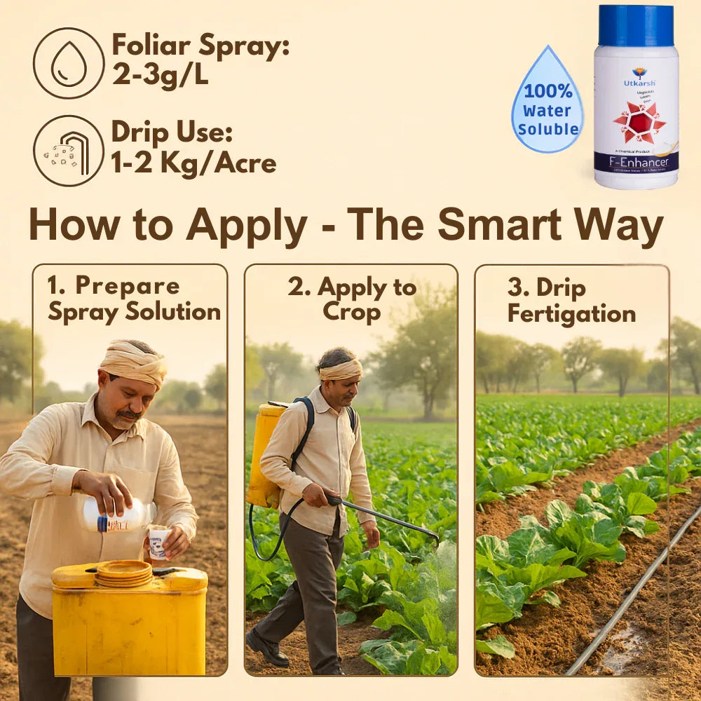F-Enhancer - EDTA Chelated Mix - Calcium, Magnesium, Boron (100 % Water Soluble Chemical for Foliar Spray) - Utkarsh Agrochem Pvt ltd. 