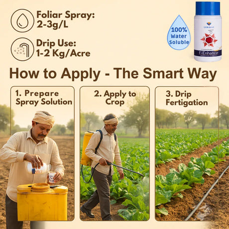 F-Enhancer - EDTA Chelated Mix - Calcium, Magnesium, Boron (100 % Water Soluble Chemical for Foliar Spray) - Utkarsh Agrochem Pvt ltd. 