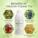 Flower Fix (Alpha Naphthyl Acetic Acid 4.5% SL) | Plant Growth Regulator - Utkarsh Agrochem Pvt ltd. 