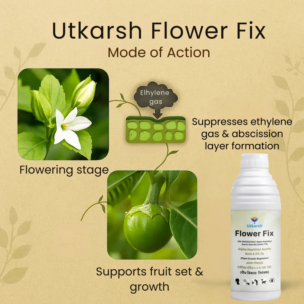 Flower Fix (Alpha Naphthyl Acetic Acid 4.5% SL) | Plant Growth Regulator - Utkarsh Agrochem Pvt ltd. 