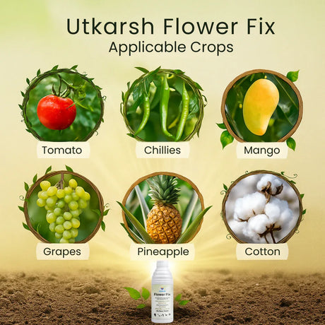Flower Fix (Alpha Naphthyl Acetic Acid 4.5% SL) | Plant Growth Regulator - Utkarsh Agrochem Pvt ltd. 
