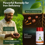 FeeDrip - Fe 6 % EDDHA Chelated (100 % Water Soluble Chemical for Soil Application) - Utkarsh Agrochem Pvt ltd. 