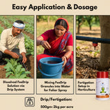 FeeDrip - Fe 6 % EDDHA Chelated (100 % Water Soluble Chemical for Soil Application) - Utkarsh Agrochem Pvt ltd. 