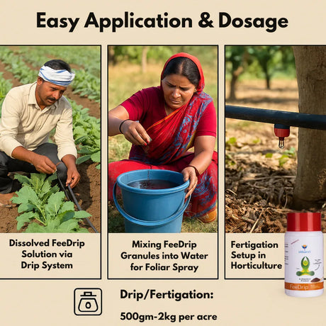 FeeDrip - Fe 6 % EDDHA Chelated (100 % Water Soluble Chemical for Soil Application) - Utkarsh Agrochem Pvt ltd. 