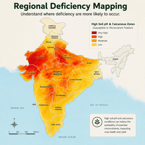 Regional Deficiency Map