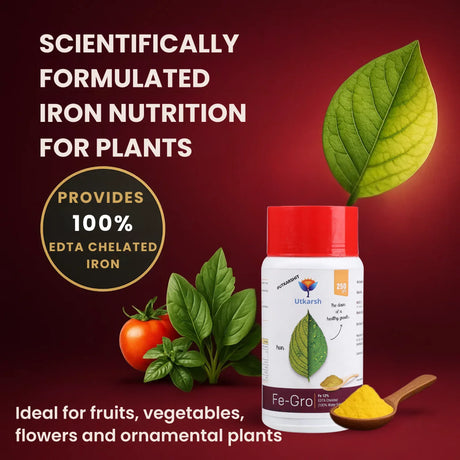 Iron - 12% EDTA Chelated for Plants, 100% Water Soluble Fertilizers, Micronutrients for Vegetables, Fruits, Flowers & Home Garden, Corrects Iron Deficiency | FeGro - Utkarsh Agrochem Pvt ltd. 