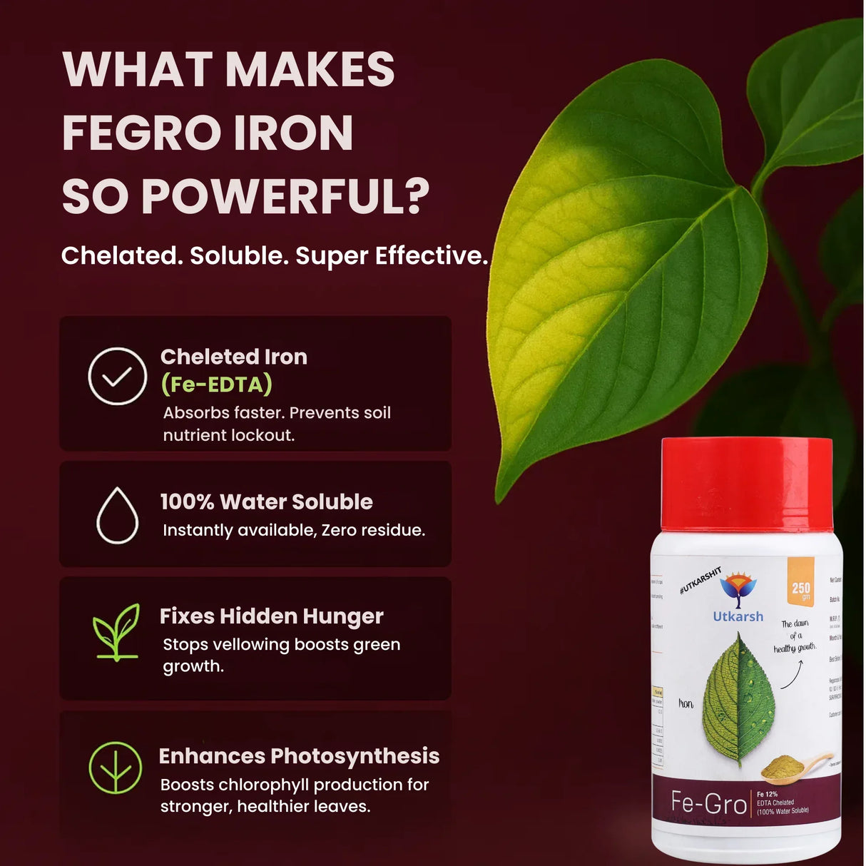 Iron - 12% EDTA Chelated for Plants, 100% Water Soluble Fertilizers, Micronutrients for Vegetables, Fruits, Flowers & Home Garden, Corrects Iron Deficiency | FeGro - Utkarsh Agrochem Pvt ltd. 