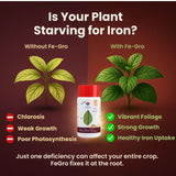 Iron - 12% EDTA Chelated for Plants, 100% Water Soluble Fertilizers, Micronutrients for Vegetables, Fruits, Flowers & Home Garden, Corrects Iron Deficiency | FeGro - Utkarsh Agrochem Pvt ltd. 