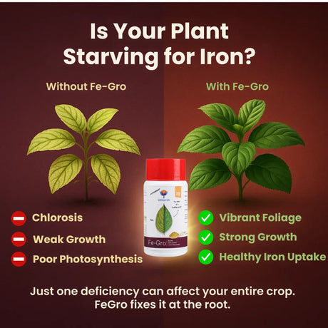 Iron - 12% EDTA Chelated for Plants, 100% Water Soluble Fertilizers, Micronutrients for Vegetables, Fruits, Flowers & Home Garden, Corrects Iron Deficiency | FeGro - Utkarsh Agrochem Pvt ltd. 