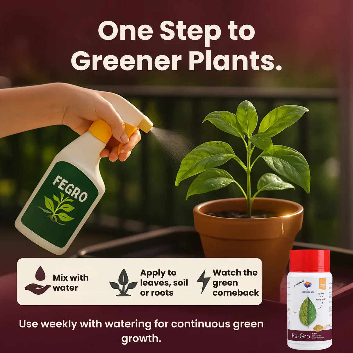 Iron - 12% EDTA Chelated for Plants, 100% Water Soluble Fertilizers, Micronutrients for Vegetables, Fruits, Flowers & Home Garden, Corrects Iron Deficiency | FeGro - Utkarsh Agrochem Pvt ltd. 