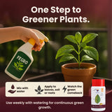 Iron - 12% EDTA Chelated for Plants, 100% Water Soluble Fertilizers, Micronutrients for Vegetables, Fruits, Flowers & Home Garden, Corrects Iron Deficiency | FeGro - Utkarsh Agrochem Pvt ltd. 
