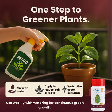Iron - 12% EDTA Chelated for Plants, 100% Water Soluble Fertilizers, Micronutrients for Vegetables, Fruits, Flowers & Home Garden, Corrects Iron Deficiency | FeGro - Utkarsh Agrochem Pvt ltd. 