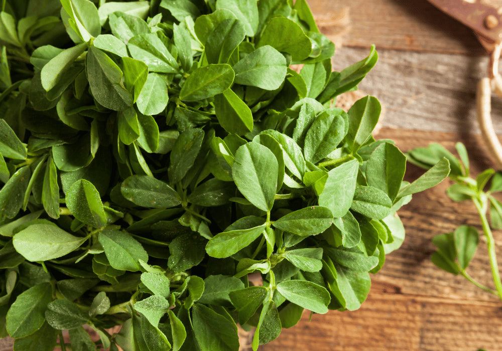 Fenugreek - Methi Farming Schedule Utkarsh
