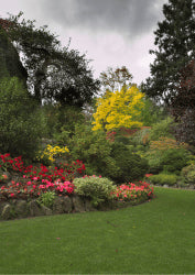 Flower Beds & Lawns