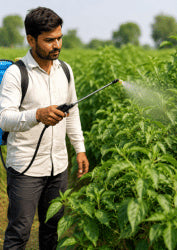 Foliar Spray