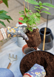 Pot & Planter Application