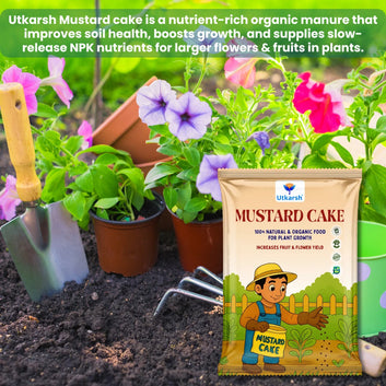 Mustard Cake Fertilizer for Healthy Plants Growth | 100% Pure, Natural & Organic Sarson Khali, Improves Soil Health, Plant Food for Stronger Roots, Bigger Blooms, Healthier Harvests