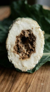 Hollow Stem