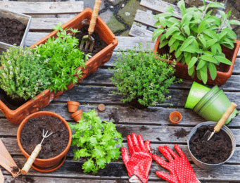 Home Gardens
