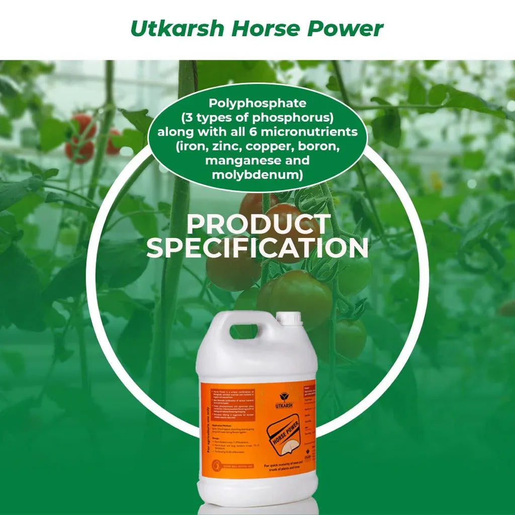 Horse Power - Ammonium Polyphosphate Fertilizer for Plants NPK 10 34 00 For Quick Maturity of Stem & Trunk of Plants & Trees, Enhances Nutrient Uptake, Flowering, Crop Yield & Quality - Utkarsh Agrochem Pvt ltd. 