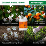 Horse Power - Ammonium Polyphosphate Fertilizer for Plants NPK 10 34 00 For Quick Maturity of Stem & Trunk of Plants & Trees, Enhances Nutrient Uptake, Flowering, Crop Yield & Quality - Utkarsh Agrochem Pvt ltd. 