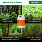 Horse Power - Ammonium Polyphosphate Fertilizer for Plants NPK 10 34 00 For Quick Maturity of Stem & Trunk of Plants & Trees, Enhances Nutrient Uptake, Flowering, Crop Yield & Quality - Utkarsh Agrochem Pvt ltd. 