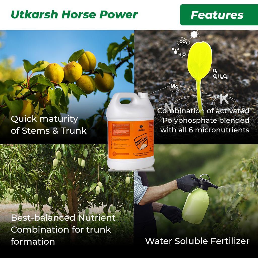 Horse Power - Ammonium Polyphosphate Fertilizer for Plants NPK 10 34 00 For Quick Maturity of Stem & Trunk of Plants & Trees, Enhances Nutrient Uptake, Flowering, Crop Yield & Quality - Utkarsh Agrochem Pvt ltd. 