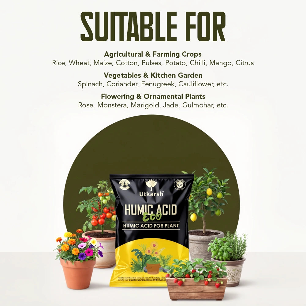 Humic Acid Eco for Plants | Organic Humic & Fulvic Acid Soil Conditioner | Improves Soil Fertility, Root Growth & Nutrient Absorption | Suitable for Agriculture, Gardening & Home Plants