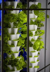Full LECA Hydroponic System