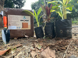 Cocopeat Block 4.4 Kg – Expands up to 75 litres of Cocopeat Powder for Growing Flowers, Vegetables & Herbs, Seedling, Hydroponic and Home Gardening - Utkarsh Agrochem Pvt ltd. 