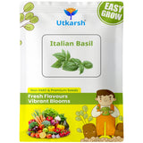Italian Basil Herb Seeds For Home & Kitchen Garden (Green, Approx. 1000 Seeds Per Pack)