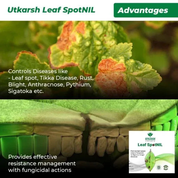 LeafspotNIL - Plant Extract-Based Natural Fungicide - Utkarsh Agrochem Pvt ltd. 