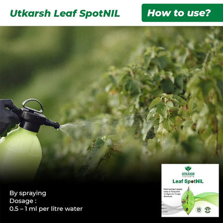LeafspotNIL - Plant Extract-Based Natural Fungicide - Utkarsh Agrochem Pvt ltd. 